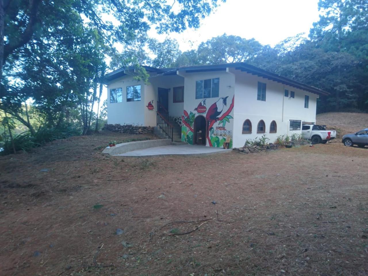 Hostal Calandria Boquete Extérieur photo