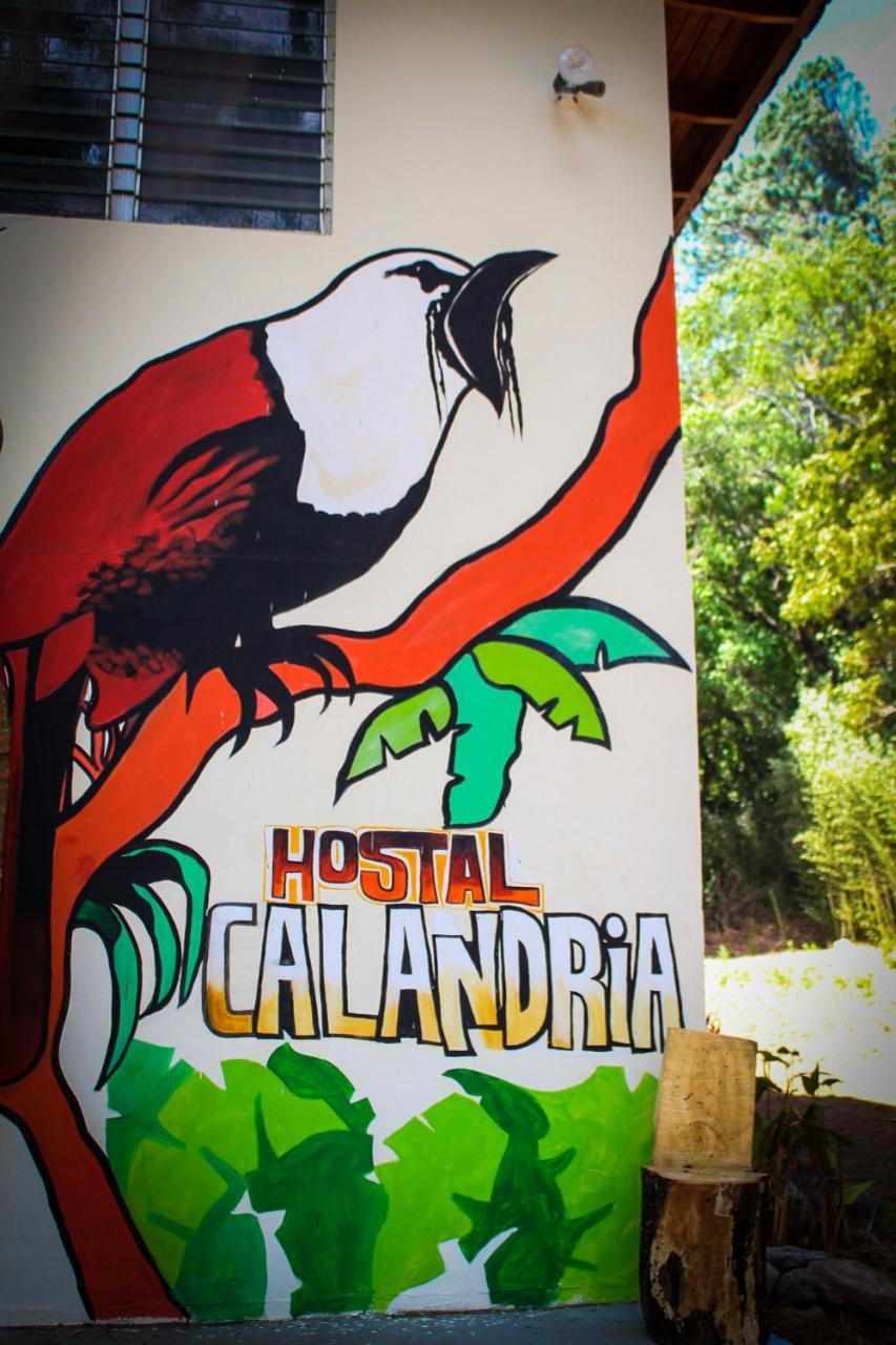 Hostal Calandria Boquete Extérieur photo