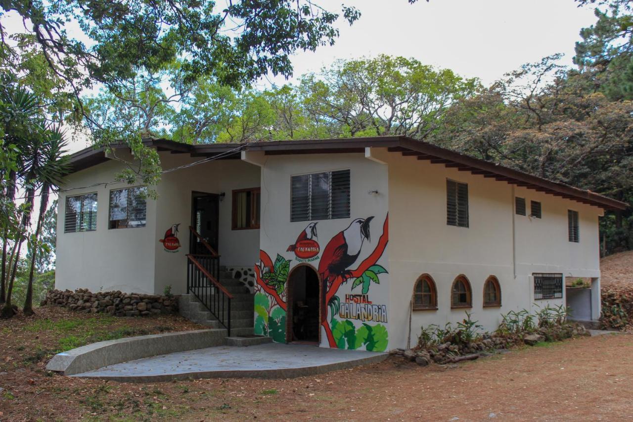 Hostal Calandria Boquete Extérieur photo